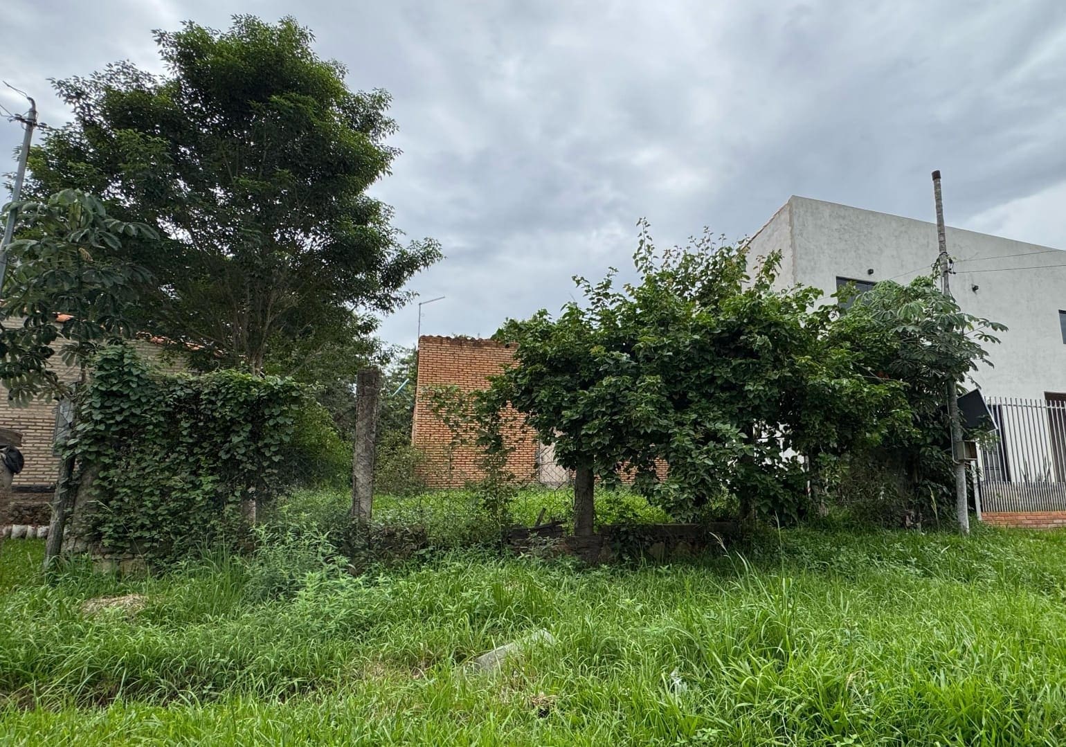 IMG-20250423-WA0064(1)