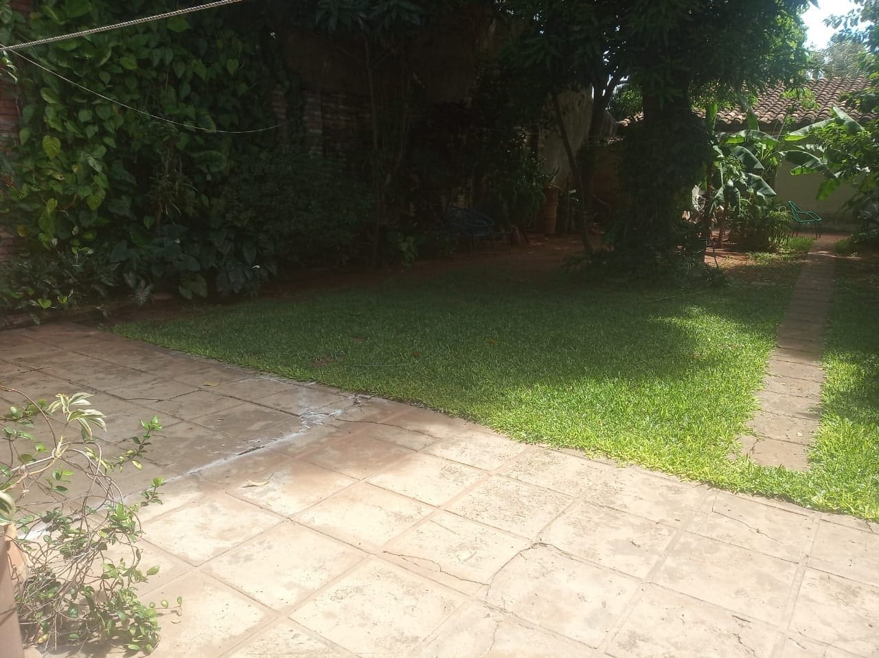 c3554e70-1a14-4044-9ddc-32801a19e8a5