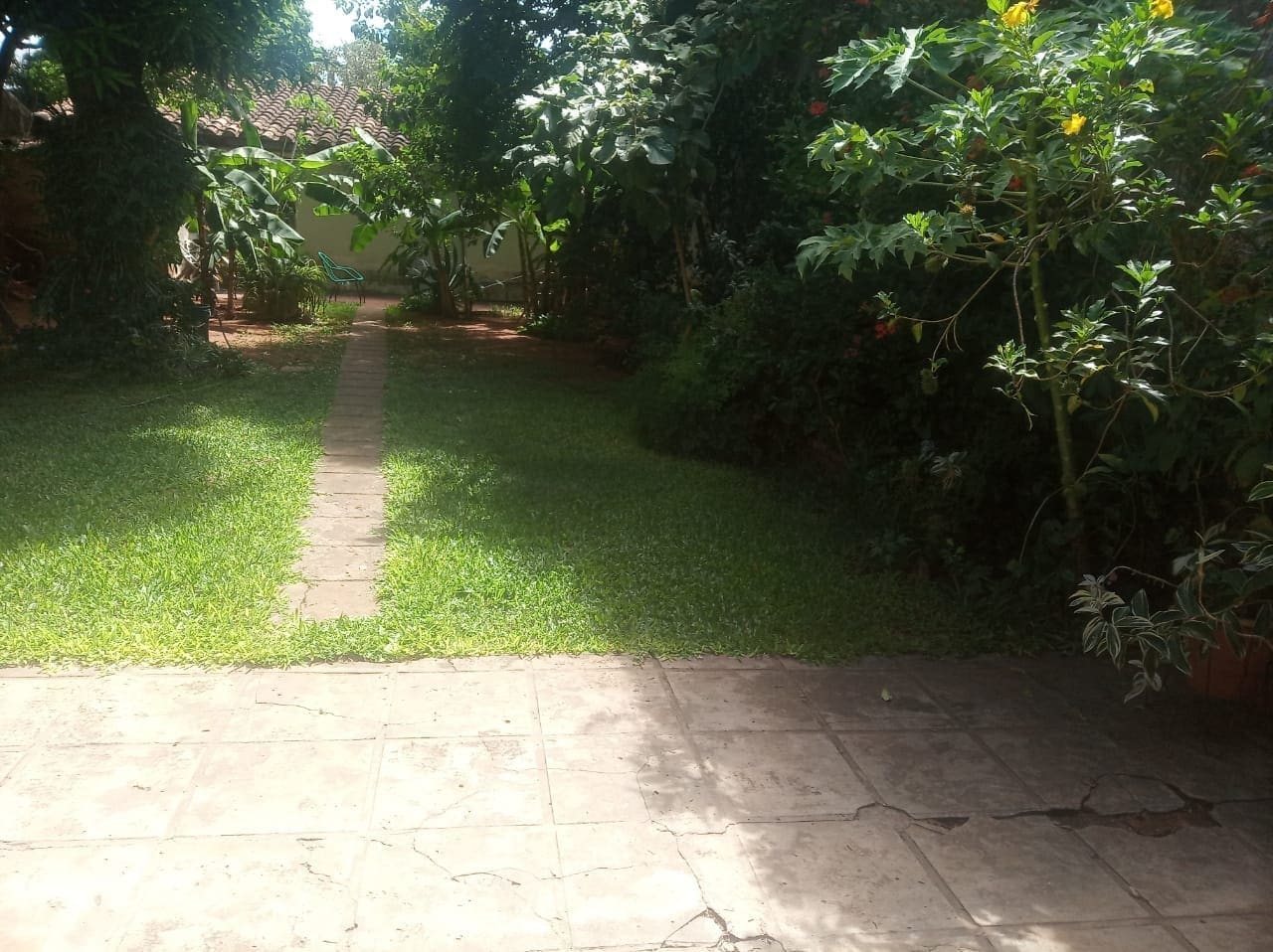 f8cf596e-3daa-4690-8476-94f1586196cb