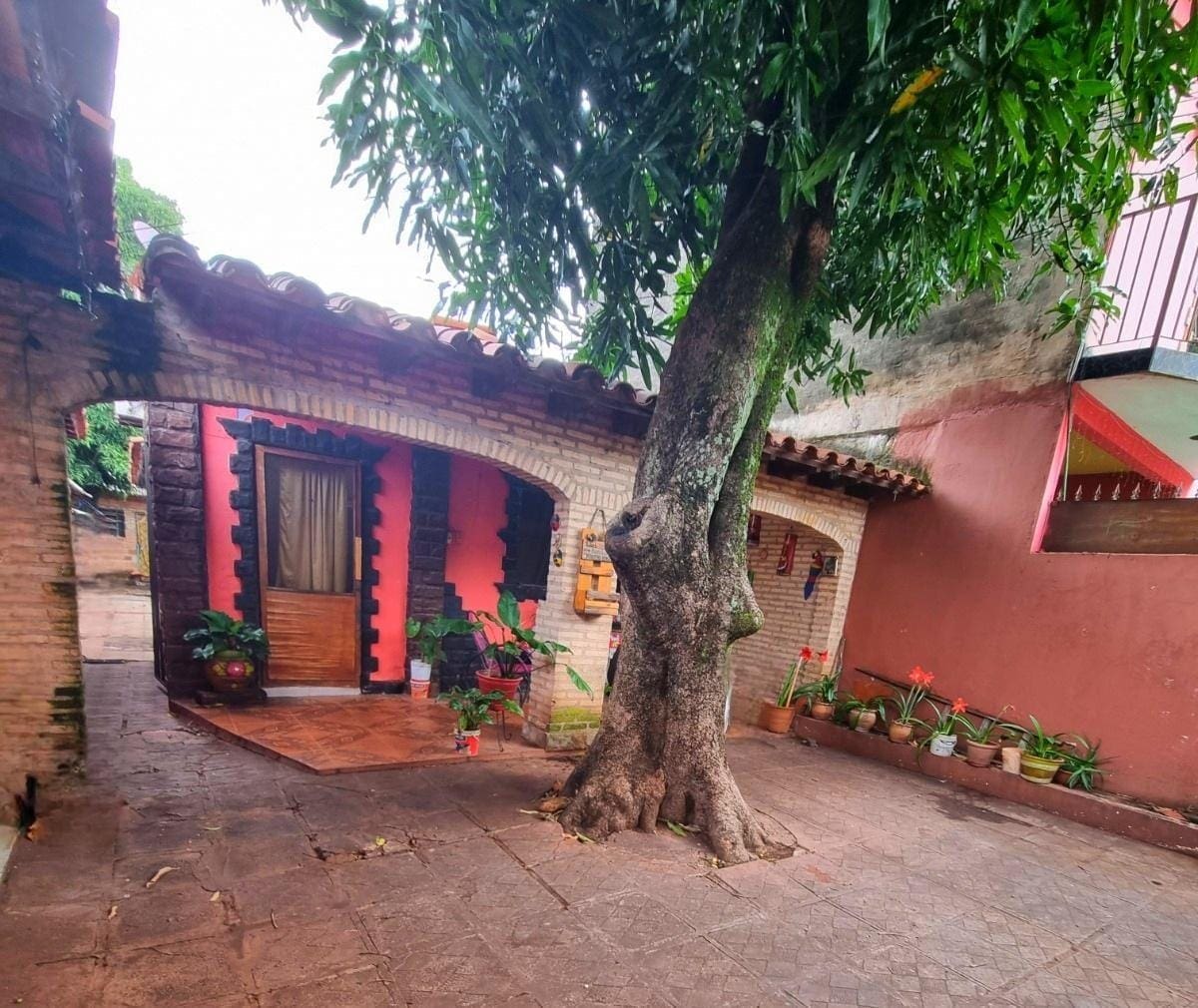 WhatsApp Image 2026-03-19 at 16.22.10