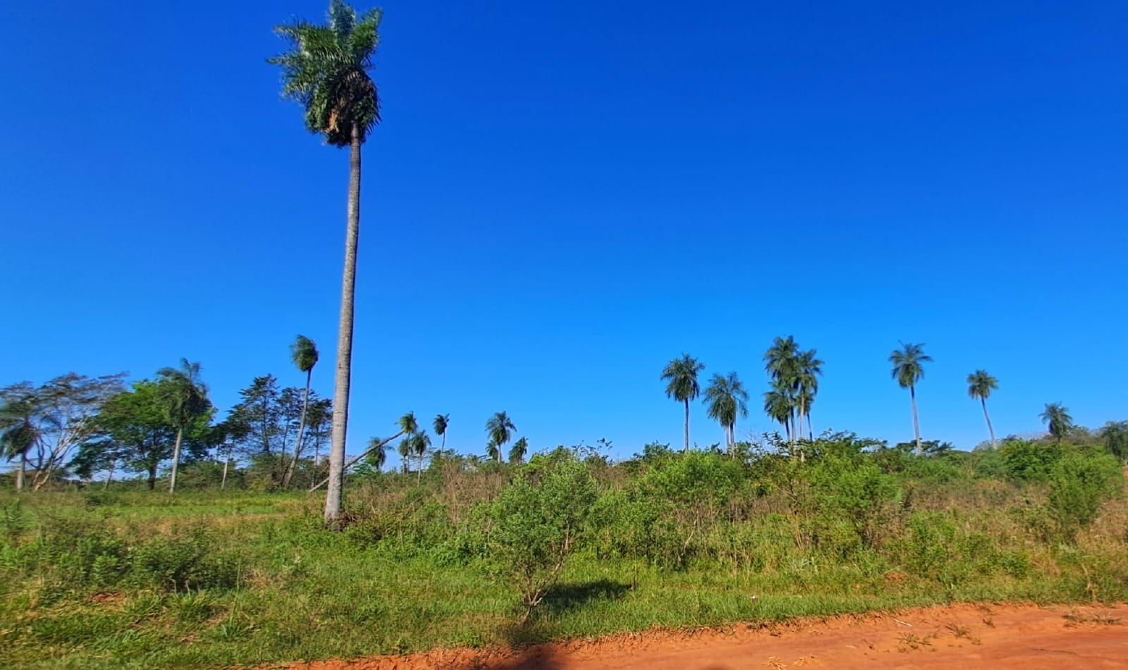 WhatsApp Image 2026-03-20 at 15.01.48 (1)