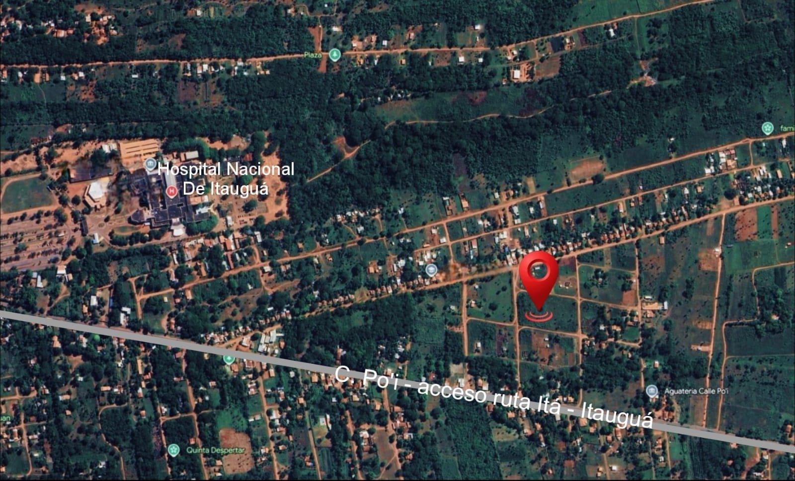 WhatsApp Image 2026-03-20 at 15.01.48