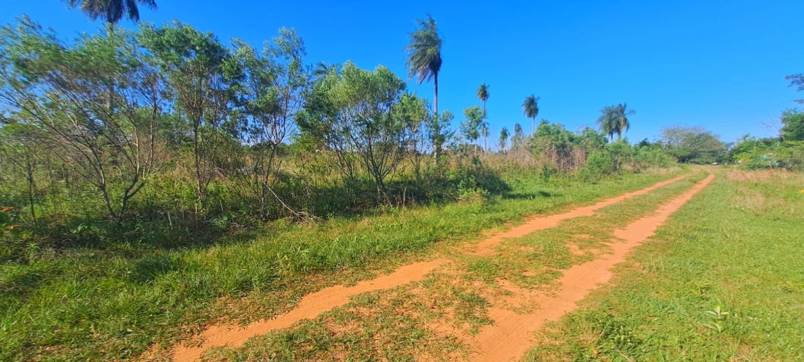 WhatsApp Image 2026-03-20 at 15.01.49 (1)