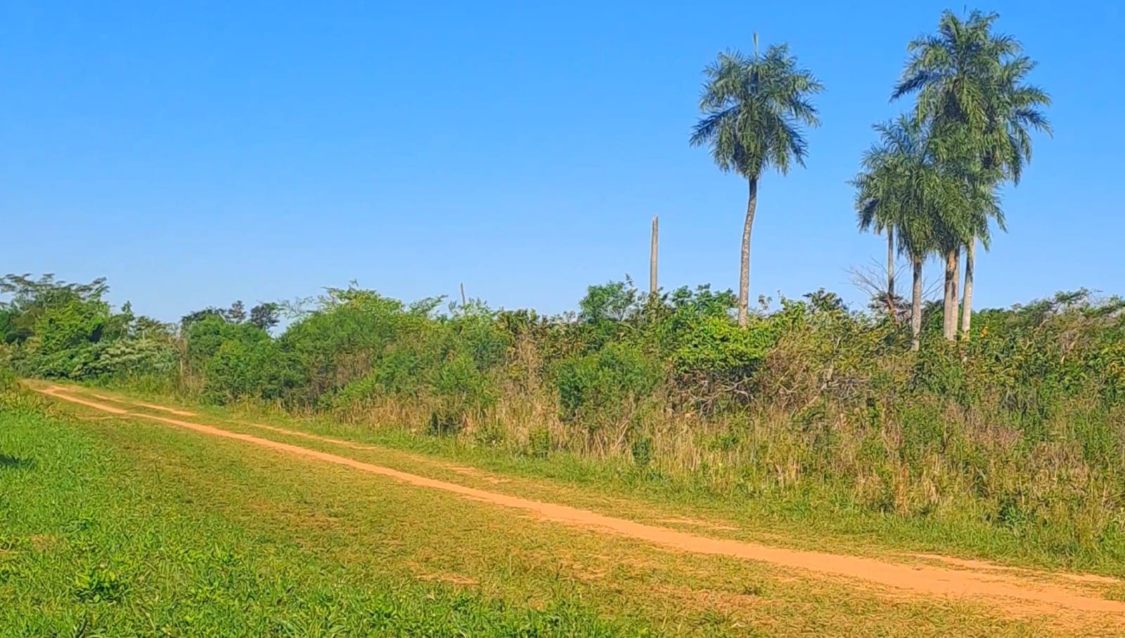 WhatsApp Image 2026-03-20 at 15.01.49 (2)