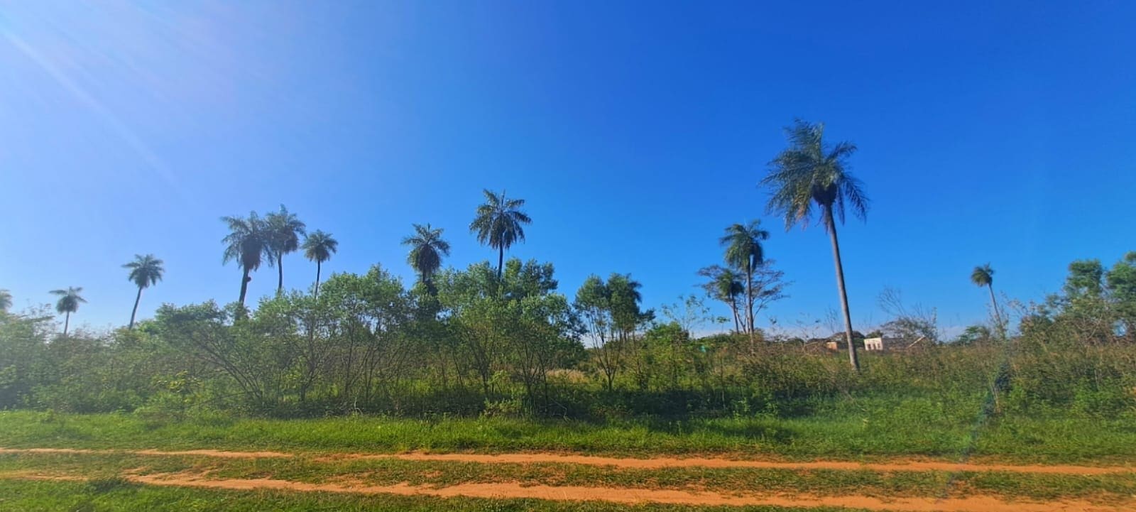 WhatsApp Image 2026-03-20 at 15.01.49