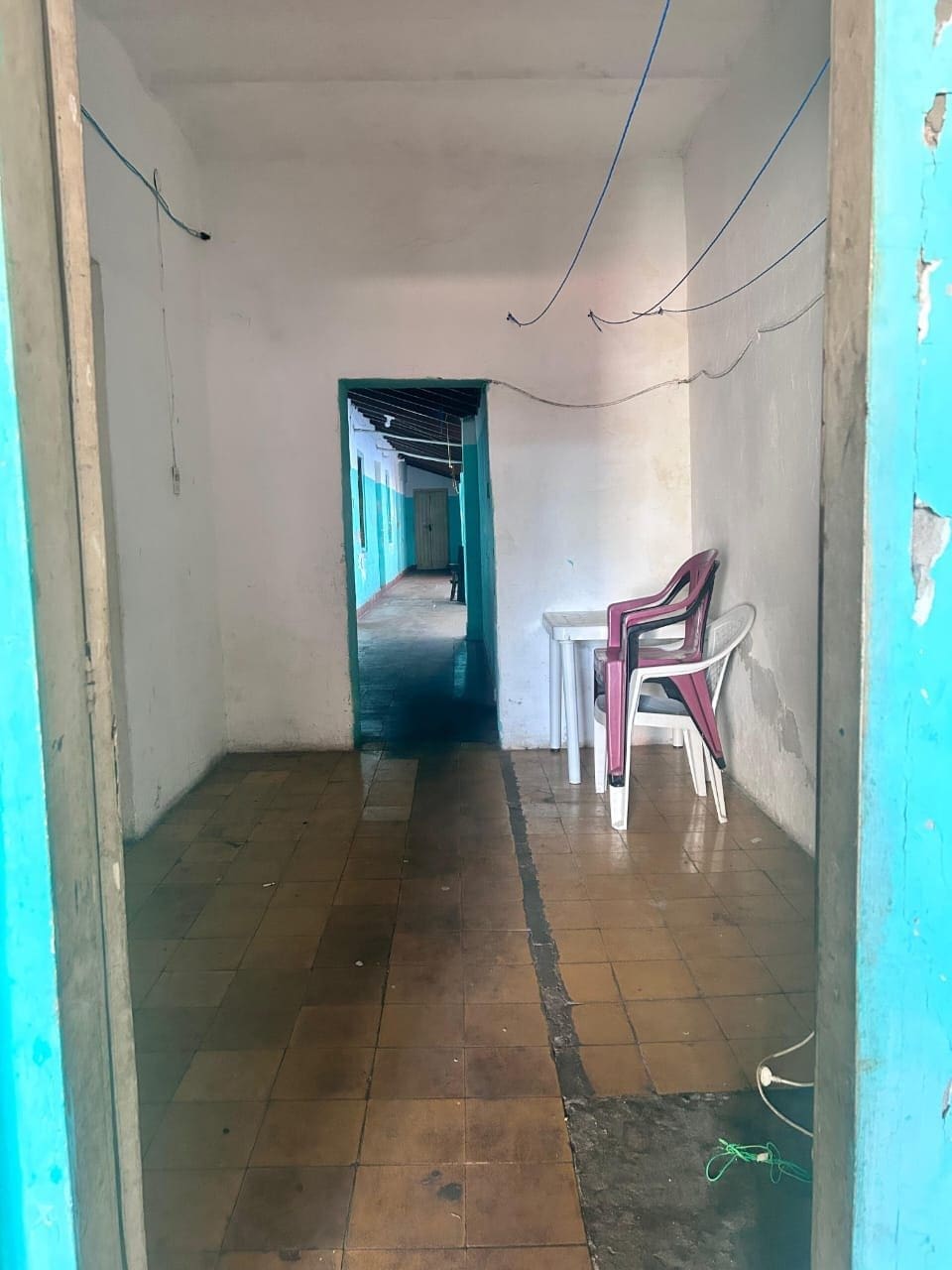 WhatsApp Image 2026-03-31 at 01.14.25